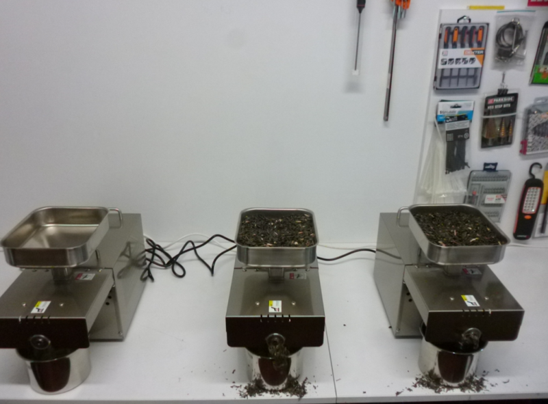 Presa ulei teste acid oleic