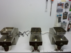 Presa ulei teste acid oleic